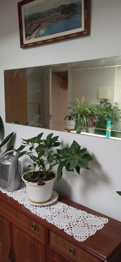 Atico Apartment Laguardia Bagian luar foto