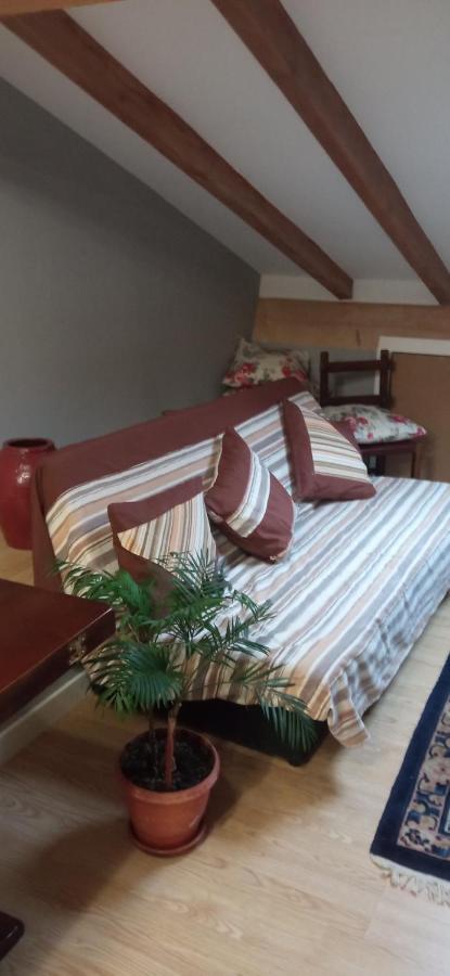 Atico Apartment Laguardia Bagian luar foto