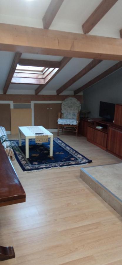 Atico Apartment Laguardia Bagian luar foto